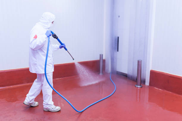 Best Building Exterior Washing  in Shrewsbury, NJ